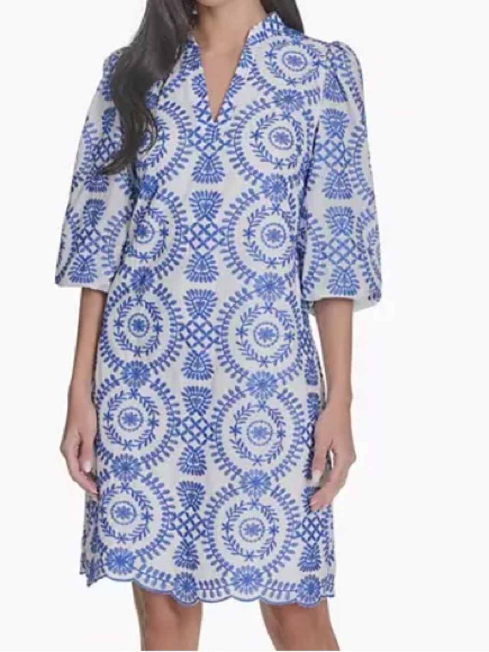Jessica Howard Blue and White Embroidered Mini Dress